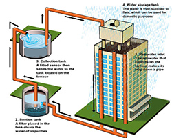 rain water harvesting